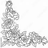 Border Coloring Rose Flowers Frame Book Vector Bud Branch Contour Elements Leaf Pattern Stock sketch template