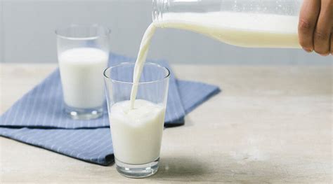 veel wetenschappelijk bewijs voor de gezondheidsvoordelen van melk nederlandse zuivel organisatie