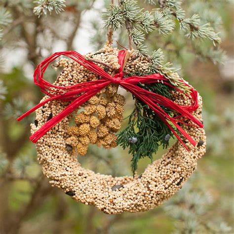 edible seed wreath large edible seeds whimsical wreaths flower decorations