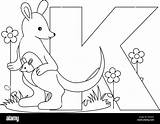 Outlined Kangaroo sketch template