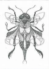 Insect Insecten Met Tekenen Inkt Monks Opdracht Oostindische Oost Indische Kroontjespen Rosalind Zentangles Zoeken Decoratief Dragonfly Doodles Leerlingen Ec0 6de sketch template