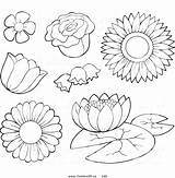 Outline Flower Flowers Outlines Coloring Drawing Pages Clipart Vector Cliparts Simple Clip Lines Getdrawings Library Outlined sketch template