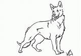 Shepherd German Coloring Pages Dog Drawing Line Shepard Print Drawings Puppy Kids Color Printable Clipart Dogs Puppies Sheets Animal Popular sketch template
