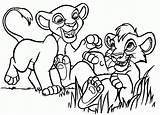 Coloring Kovu Lion Kiara Colorare Disegni Chiara Coloringhome Roi Ius sketch template
