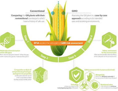 frontiers risk assessment considerations  genetically modified rnai plants efsas