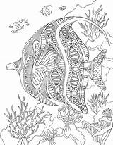 Colorear Angelfish Erwachsene Zentangle Mar Fisch Ausmalen Coloriages Páginas Adulte Marine Livres Magique Poisson Fur Marins Mangala Dificiles Doodle Turtle sketch template