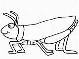 Grasshopper Mantis Clipartmag sketch template