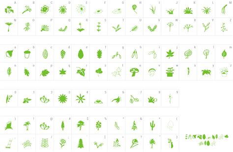 font plants