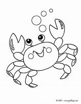 Cangrejo Dibujos Marinos Crab Coloring Línea sketch template