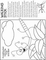 Coloring Stick Bug Walking Pages Bugs Fact Makingfriends Insect Kids Insects Crafts Caterpillar Badge Color Activities Girl Preschool Cartoon Scouts sketch template