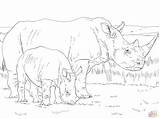 Rhino Coloring Pages Baby Mother Rhinos Printable Animal Color Drawings Realistic Drawing Animals Sheets sketch template