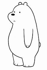 Osos Curso Orso Ursos Polar Orsi Ours Polaire Cartonionline sketch template