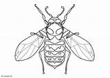 Wasp Coloring Edupics Large sketch template
