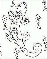 Gecko Coloring Pages Colouring Kids Printable Geico Drawing Template Sheets Salamandra Sheet Related Getdrawings Library Clipart Print Choose Board Coloringhome sketch template