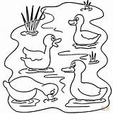 Coloring Pond Animals Pages Ducks Printable Color Nature Supercoloring Duck Animal Crafts Print Drawing Select Category Kids Cartoons Super Fun sketch template