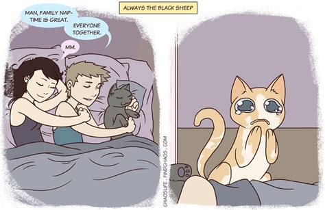 Blacksheep Png 843×546 Cute Comics Life Comics Cat Comics