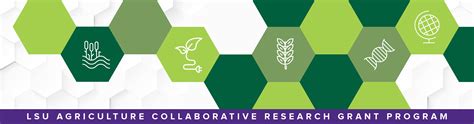 collaborative research grant program