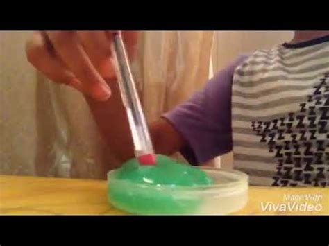 slime  glue  borax jiggly slime youtube