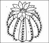 Coloring Cactus Pages Color Flowers Printable Number Easy Online Desert Flower Printables Drawing Para Simple Kids Coloritbynumbers Dibujos Adult Google sketch template