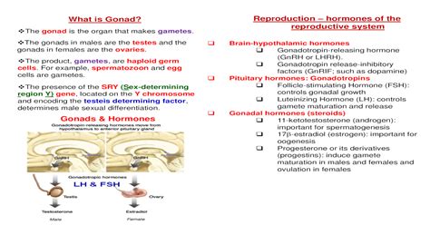 Gonadal Hormone [pdf Document]