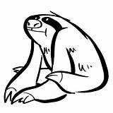 Sloth Faultier Ausmalbilder Ausmalbild Burn Q1 Kategorien sketch template