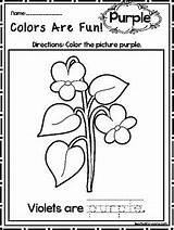 Purple Color Worksheets Preschool Printable Colors Recognition Kdg Fun Teach Daycare sketch template