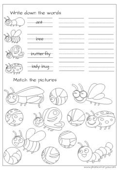 insect worksheets  preschools  handouts