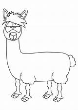 Llama Lama Kolorowanki Llamacorn Animal Dzieci Imprimer Llamas Ludinet Alpaca Coloriages Bestcoloringpagesforkids Wydruku Momjunction Peruvian Encounters sketch template