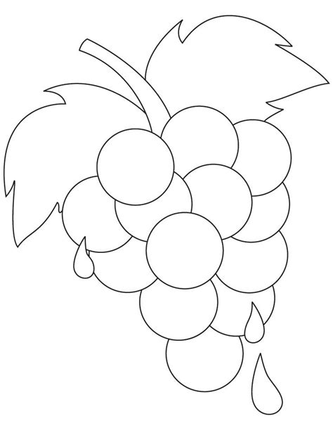 grapes coloring page  getcoloringscom  printable colorings