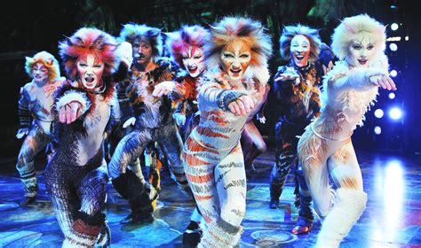 cats  musical coming  melbourne   beat magazine