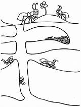 Ant Ants Colony sketch template
