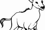 Billy Goat Coloring Pages Clever sketch template