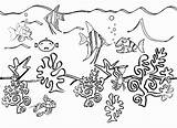 Ocean Coloring Sea Drawing Pages Underwater Animals Plants Printable Life Scene Floor Ecosystem Deep Creatures Animal Print Sketches Clipart Fish sketch template