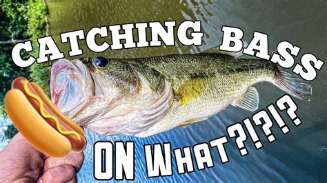 Catching Bass On New Bait Top Secret Youtube