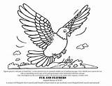 Coloring Pages Feathers Fur Cher Ami sketch template