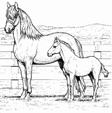 realistic horse coloring pages  adults coloringbay