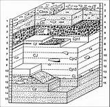 Archaeology Stratigraphic sketch template