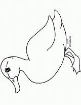 Inkleur Colouring Prentjies Ducks Mallard Swimming Doodle Schritt Zeichnen sketch template