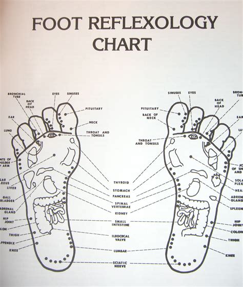 introduction  acupressure points qi gong  acupressure acupressure points