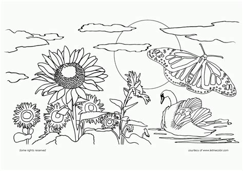 nature scenes coloring pages coloring home