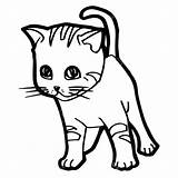 Kucing Mewarnai Katze Gatto Malvorlage Sitzend Simple sketch template