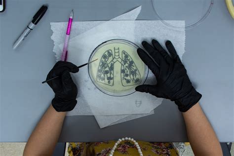 byu students paint  bacteria    art competition