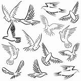 Dove Pigeon Doves Flying Peace Coloring Drawing Getdrawings Books Pages sketch template
