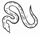 Snake Clipart Garter 34kb 1350 Drawings sketch template