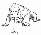 Komodo Dragon Dragons Head Animals Drawing Clipart Coloring Pages Animal Two Sixty Draw Color Printable Visit Getdrawings Clipground Barratt Jem sketch template