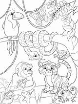 Jungle Animals Cartoon Coloring Forest Vector Illustration Zentangle Pages Artstation Book Preview sketch template