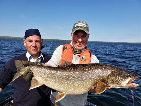 lake trout facts superior country