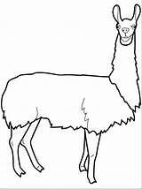 Llama Lama Llamas Kolorowanki Dzieci Bestcoloringpagesforkids Recursos Menta Coloringtop sketch template