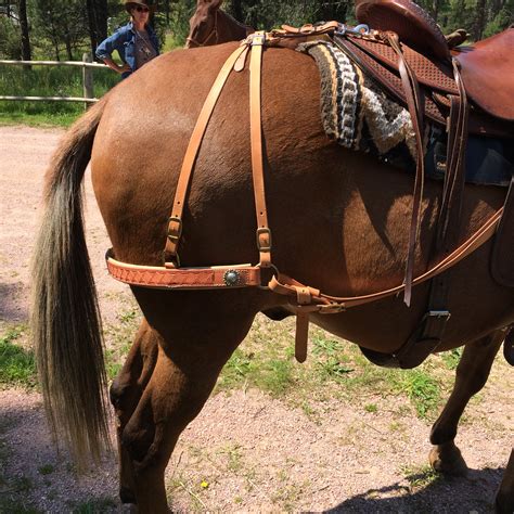 horse tack jt leather