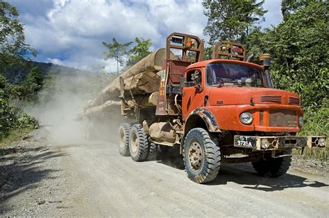 logging trucks stock image  science photo library